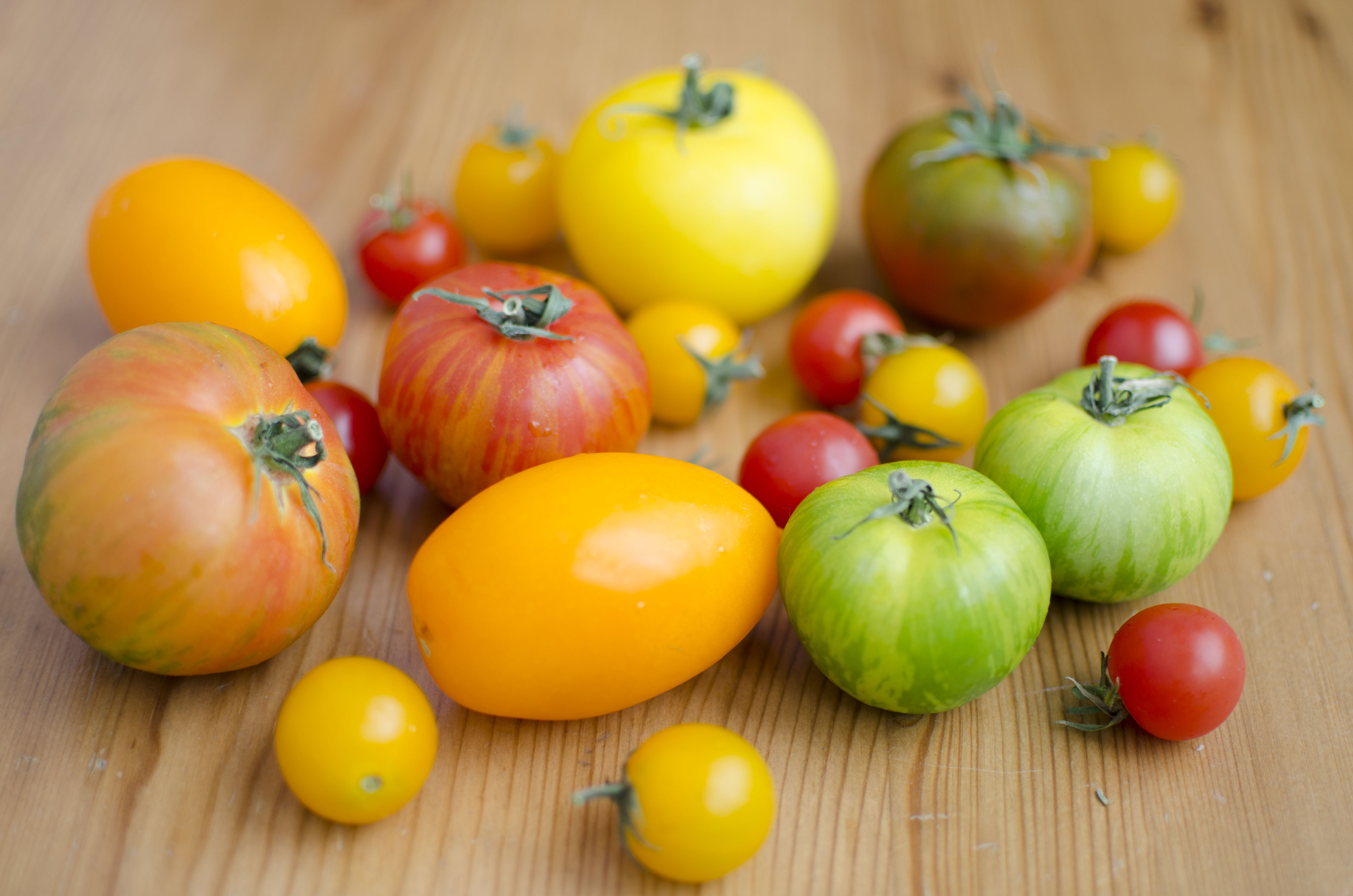 Heirloom tomato salad: a taste of the Past